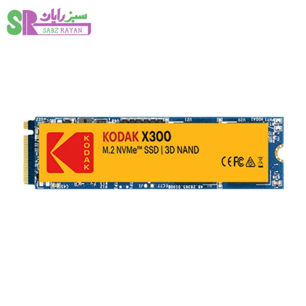 اس اس دی کروشیال X300 256GB
