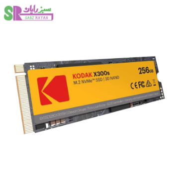 اس اس دی کروشیال X300 256GB
